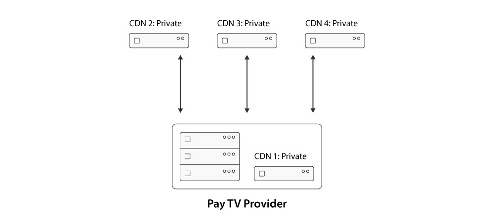Schematic of the in-house pay tv delivery model.